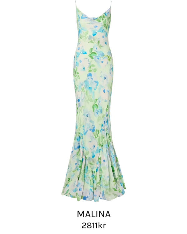 Image of Amaia Chiffon Slip Maxi Dress