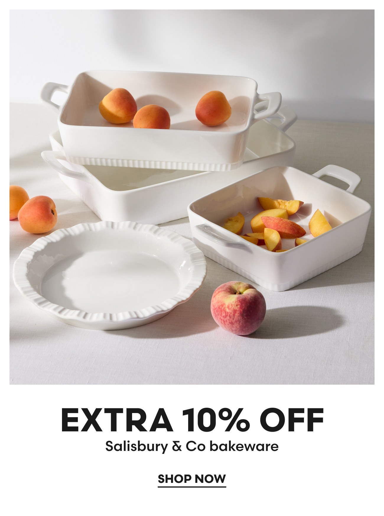 Salisbury & Co bakeware
