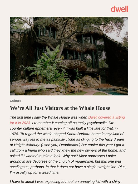 We’re All Just Visitors at the Whale House