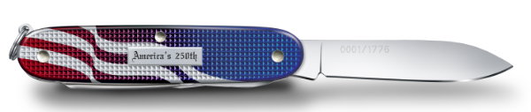 America's 250th Anniversary Pioneer X Back Panel and Engraved Serial Number View