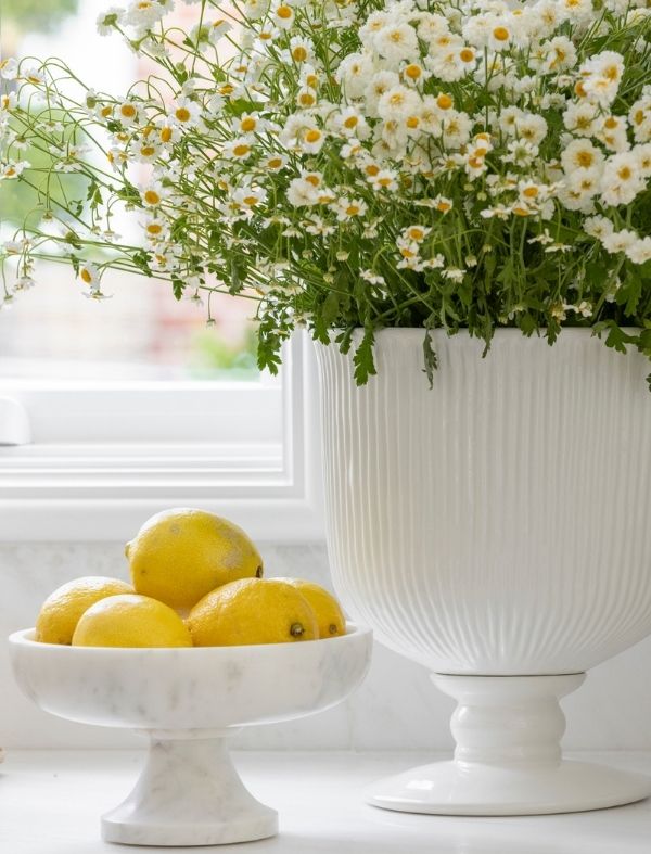 White fluted urn filled with flowers next to marble bowl with lemons.