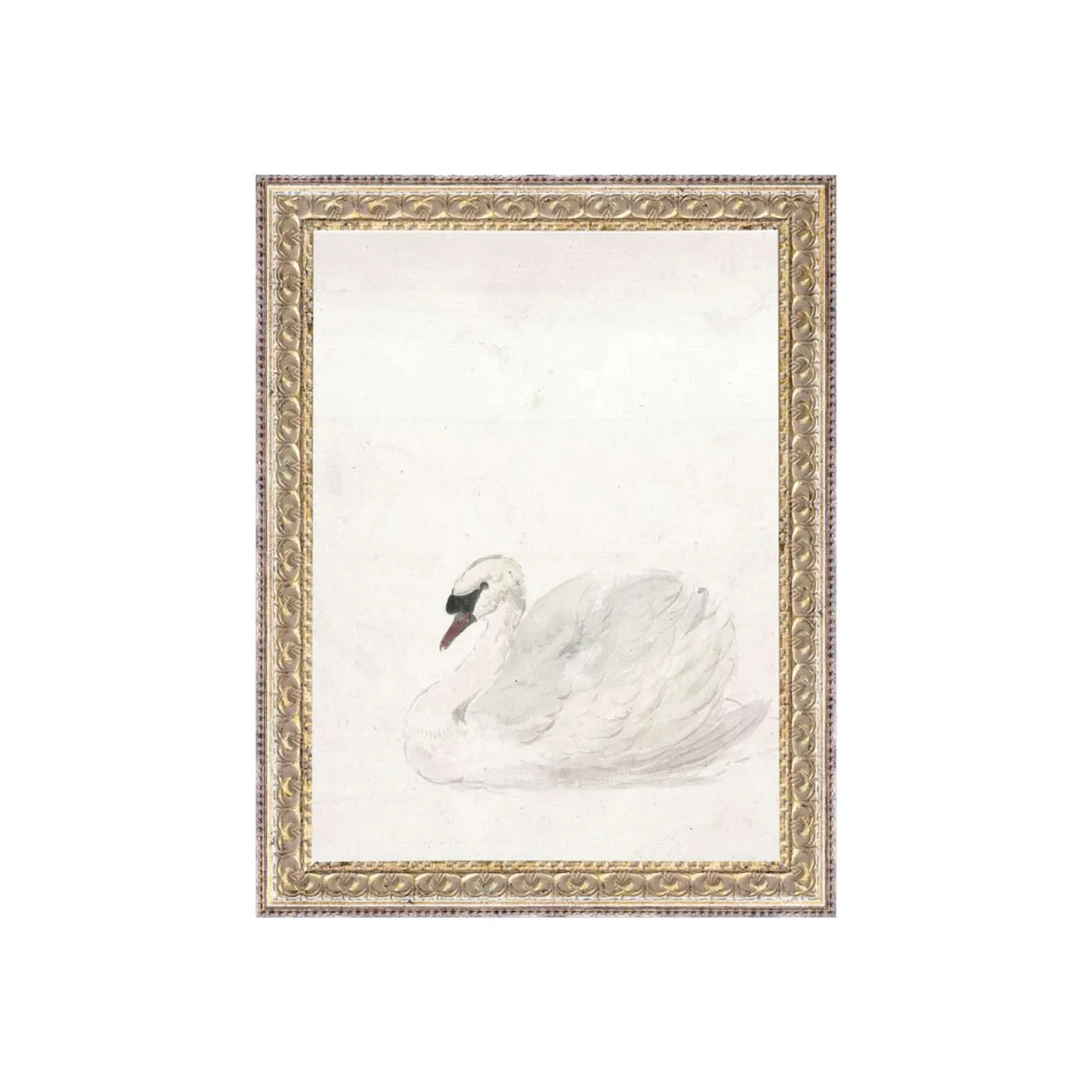Image of Sitting Swan Art