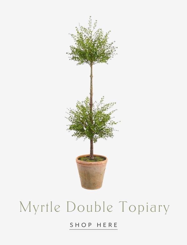 Myrtle Double Topiary