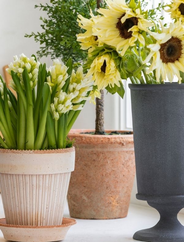 Dark grey pedestal vase with sunflowers.