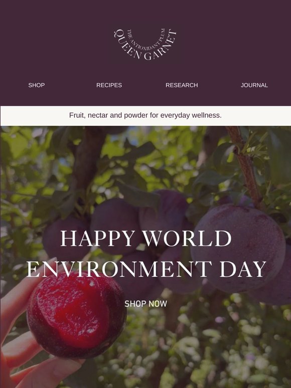 Happy World Environment Day 🌏