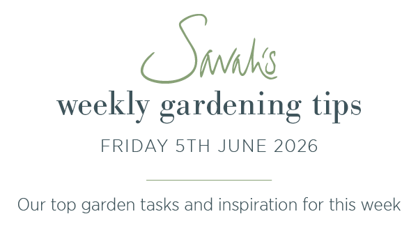 Sarah's weekly gardening tips. Friday 5th June 2026. Our top garden tasks and inspiration for this week.