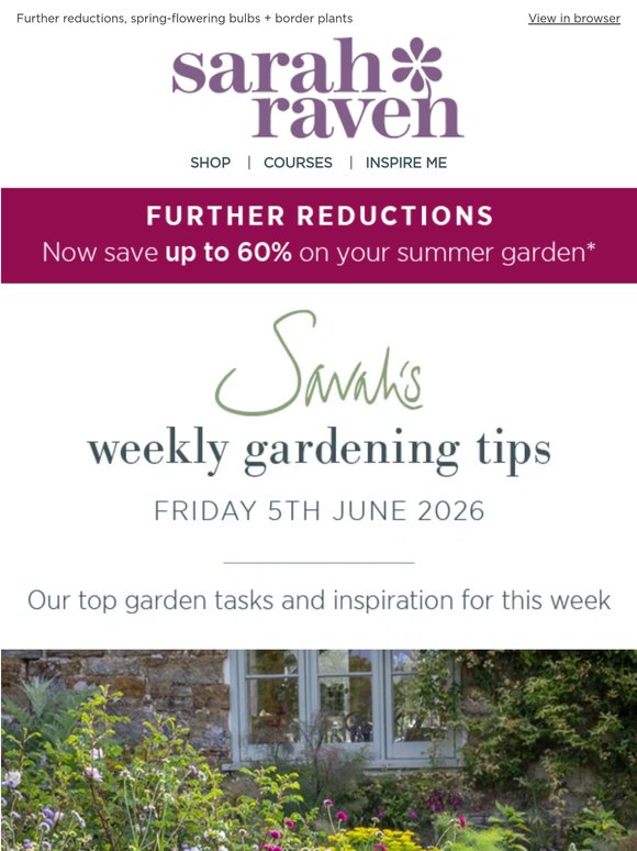 Sarah's weekly tips | up to 60% off your summer garden