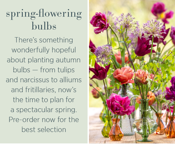 Spring-flowering bulbs. There's something wonderfully hopeful about planting autumn bulbs - from tulips and narcissus to alliums and fritillaries, now's the time to plan for a spectacular spring. Pre-order now for the best selection.