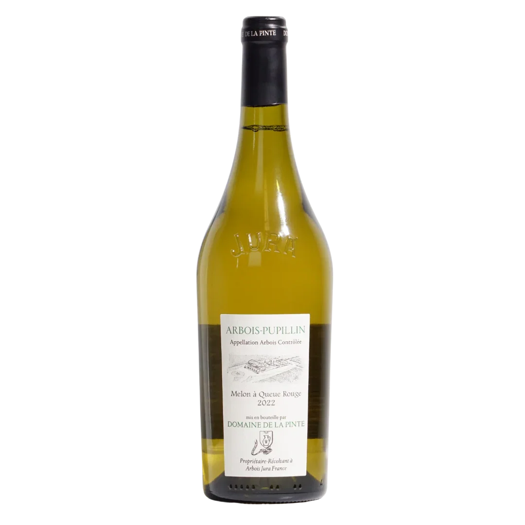Image of Melon a Queue Rouge Arbois