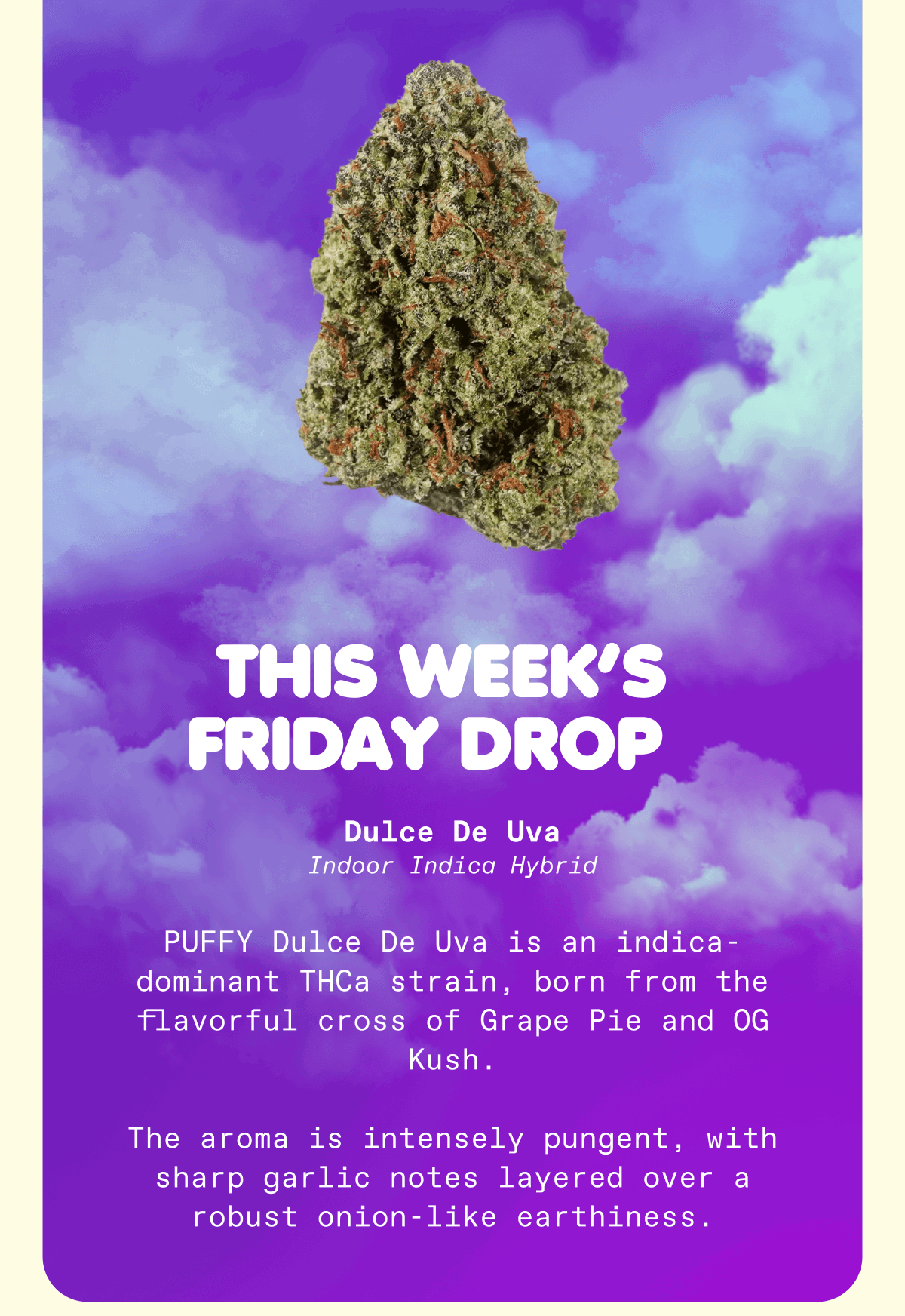 Dulce De Uva Indoor Indica Hybrid  PUFFY Dulce De Uva is an indica-dominant THCa strain, born from the flavorful cross of Grape Pie and OG Kush.  The aroma is intensely pungent, with sharp garlic notes layered over a robust onion-like earthiness.
