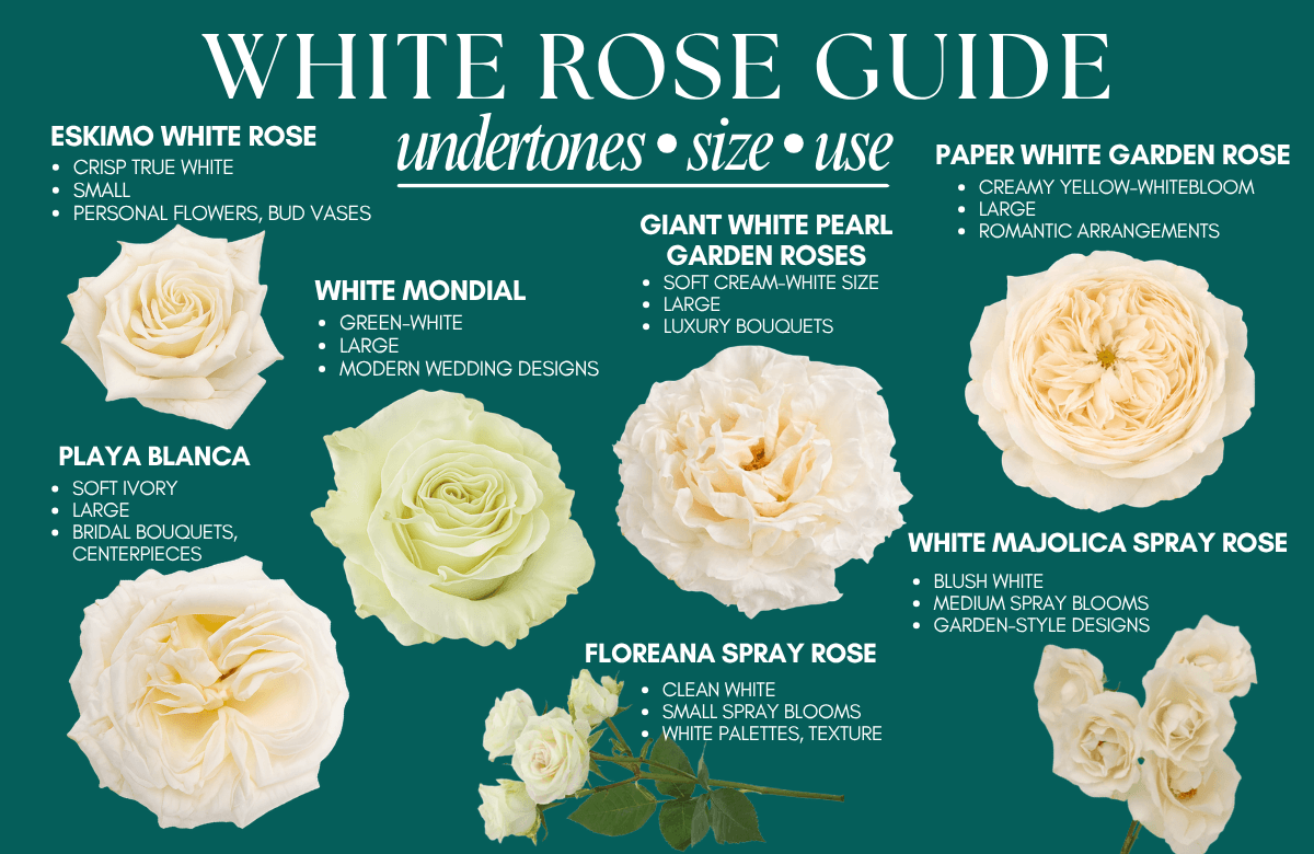 White Rose Guide