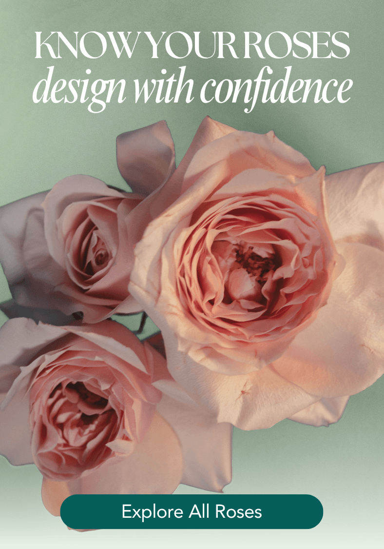 Best Roses for your Event