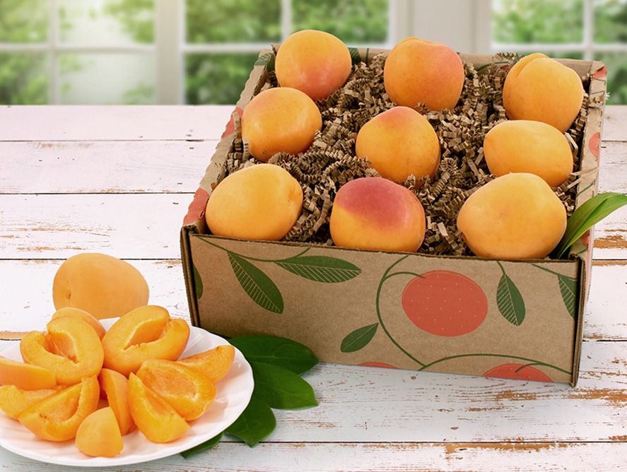 Farm-Fresh Apricots