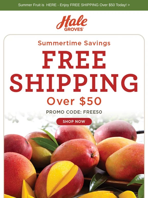 FREE SHIPPING Awaits...