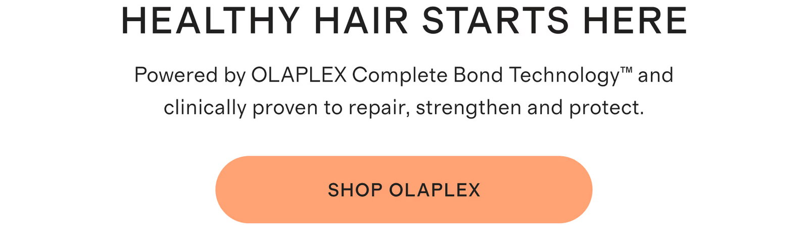Haircare brand everyone swears by