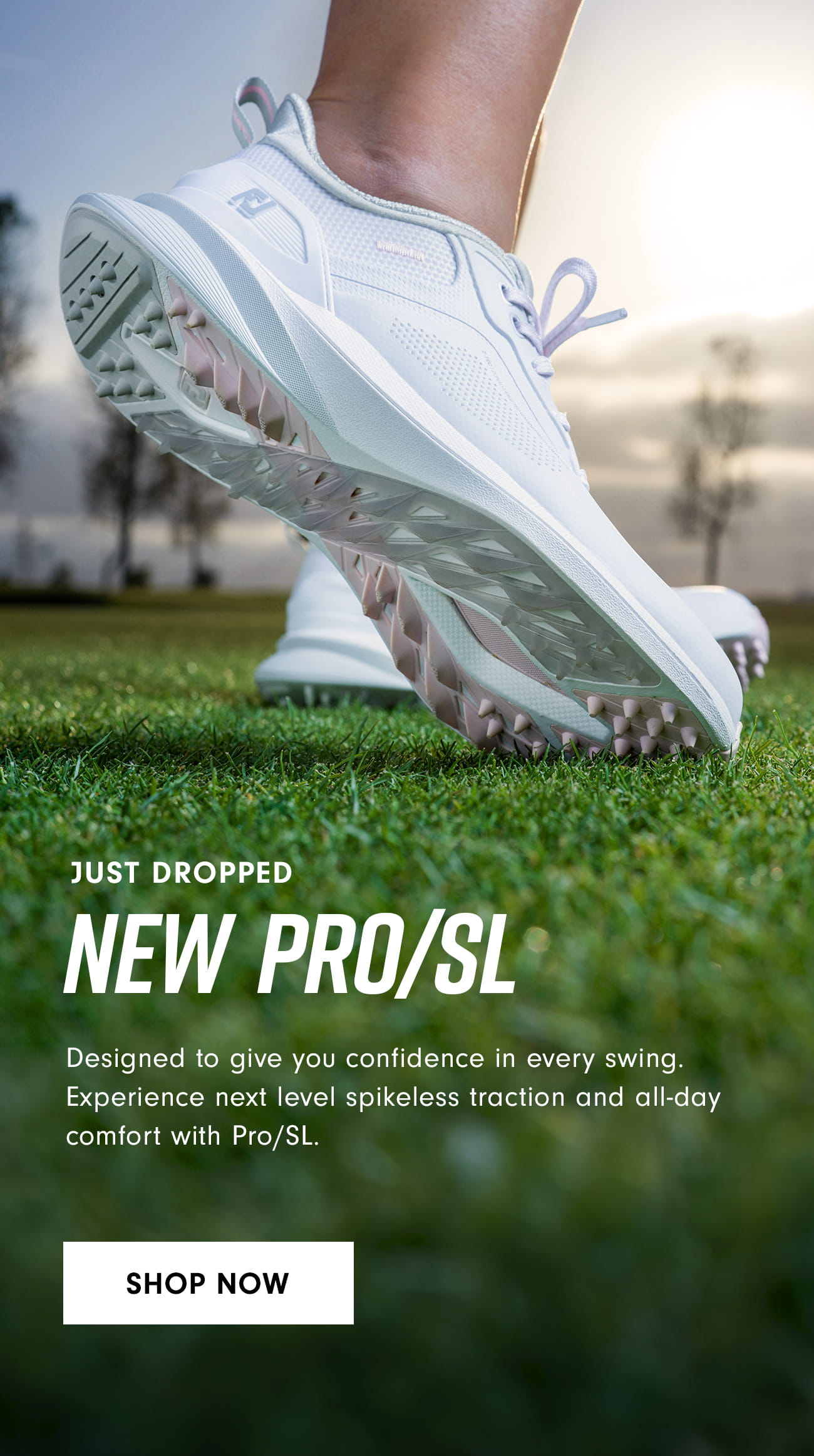 Shop All-New Pro/SL