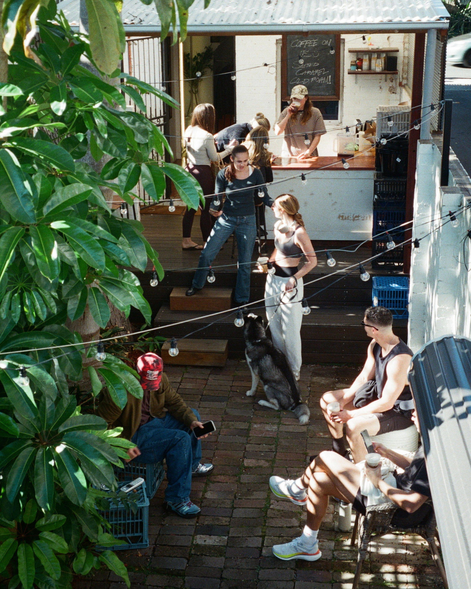 A medium shot captures a group of people and a dog gathered outside a small cafe with a corrugated metal roof, under bright daylight. On a chalkboard ...