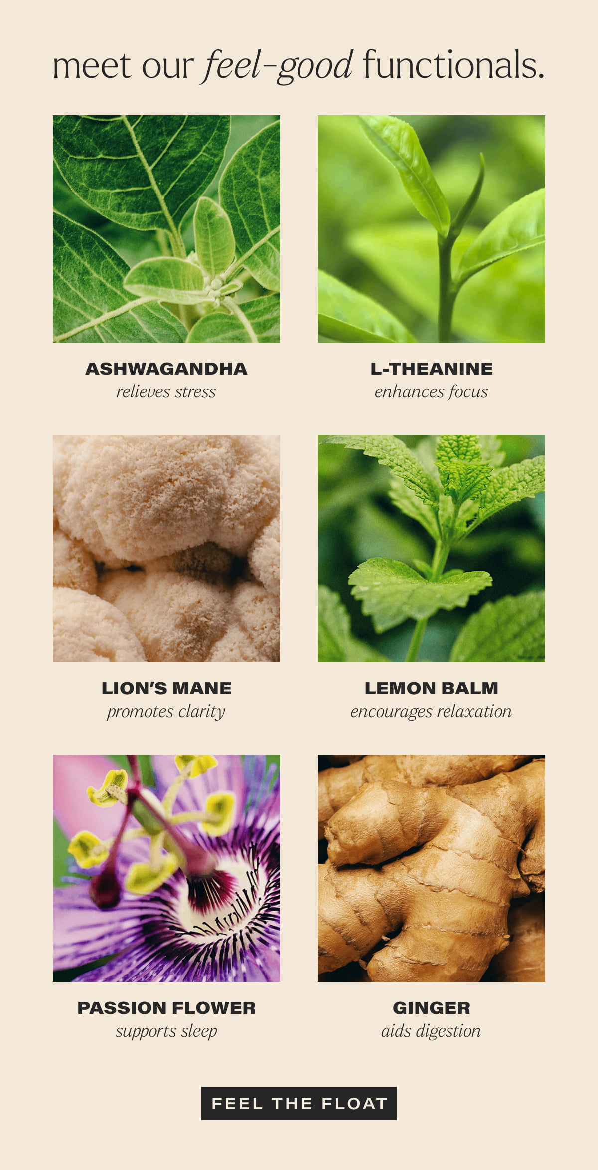 meet our feel-good functionals. | ASHWAGANDHA | relieves stress | L-THEANINE | enhances focus | LION’S MANE | promotes clarity | LEMON BALM | encourages relaxation | PASSION FLOWER | supports sleep | GINGER | aids digestion | [ FEEL THE FLOAT ]