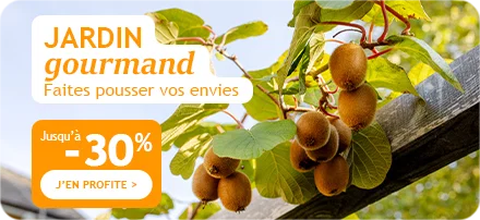 Jusqu'à -30% pour un jardin gourmand !