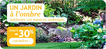 Un jardin à l'ombre jusqu'à -30%