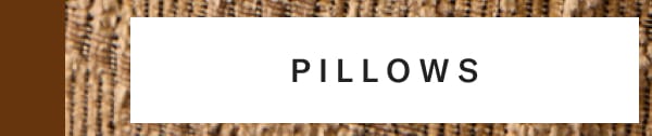 Shop Pillows