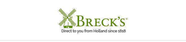 Brecks Logo