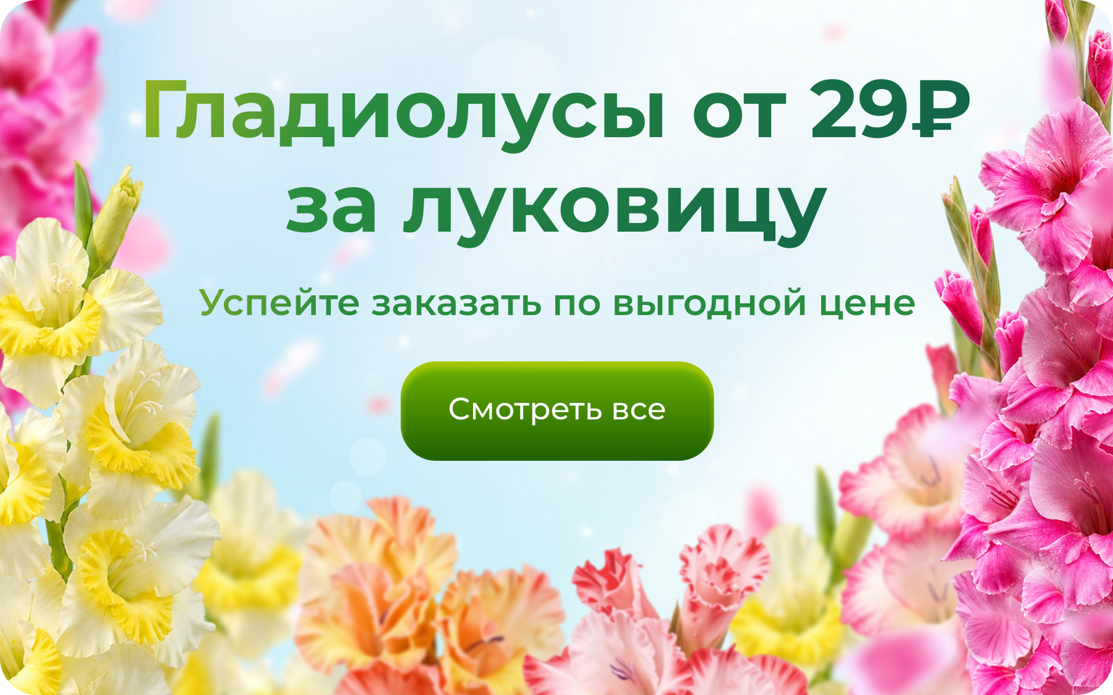 Frame 1367935284.png