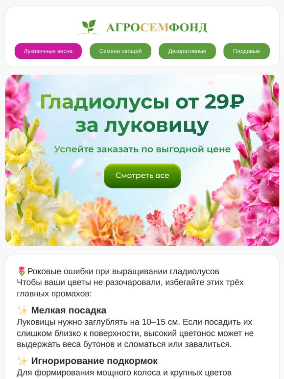 ‼️🔥 У нас новость!!!💥🔥Гладиолусы от 29 р за луковицу! Шок цена!!! Создайте клумбу мечты🌸🔔