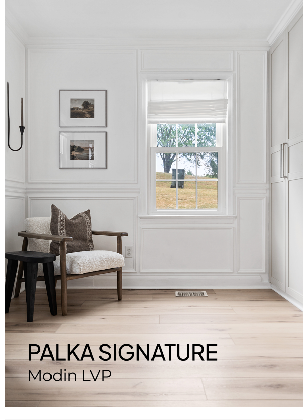 Palka | Modin LVP