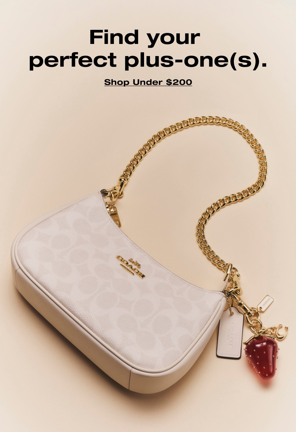 Find your  perfect plus-one(s). Shop Under $200 