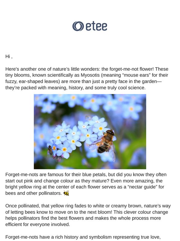 💙 Tiny Flowers with a Big Story