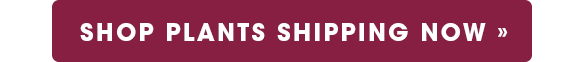 Shop Plants Shipping Now