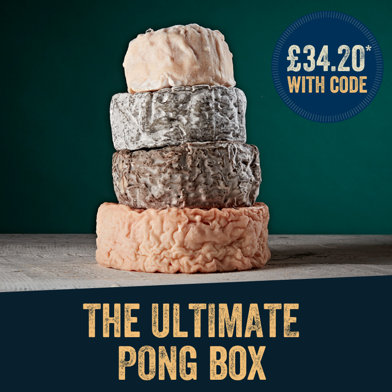 The Ultimate Pong Box