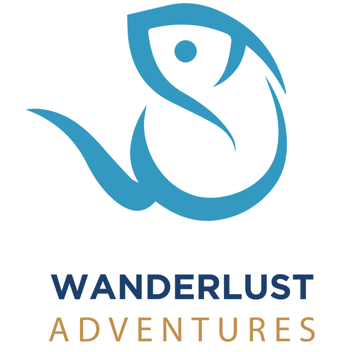 Logo 26