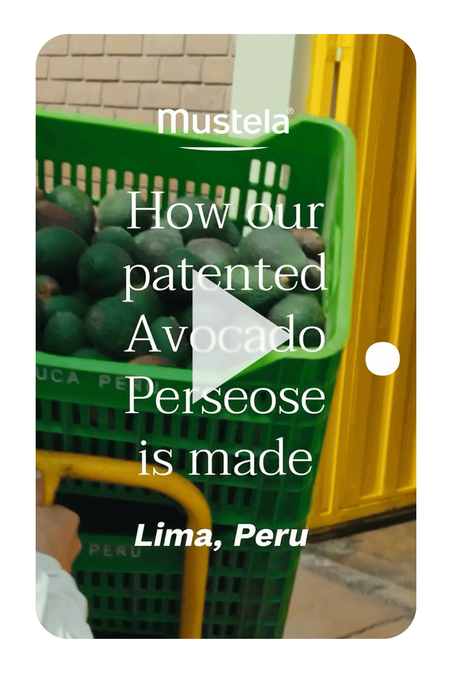 An image of how Mustela's patented Avocado Perseose is made