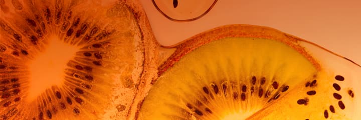 Antioxidants help protect radiance