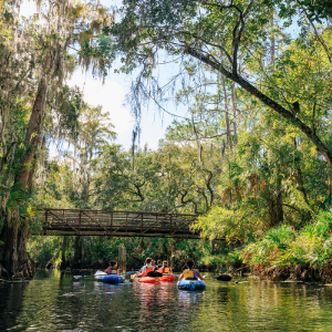 A group of people float down a calm river on colorful inner tubes. They are surrounded by lush green trees and hanging moss in a dense forest setting. A wooden pedestrian bridge crosses over the water in the background, adding depth to the scene. The bright daylight and reflections on the water create a relaxed, summery atmosphere.
