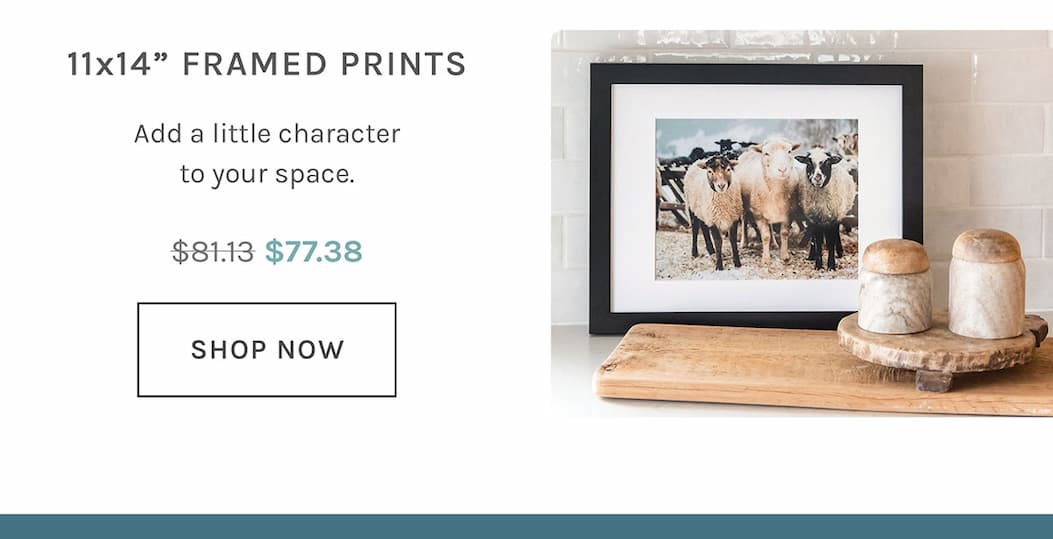 Up to 40% off 11x14" framed prints