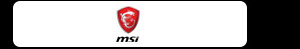MSI