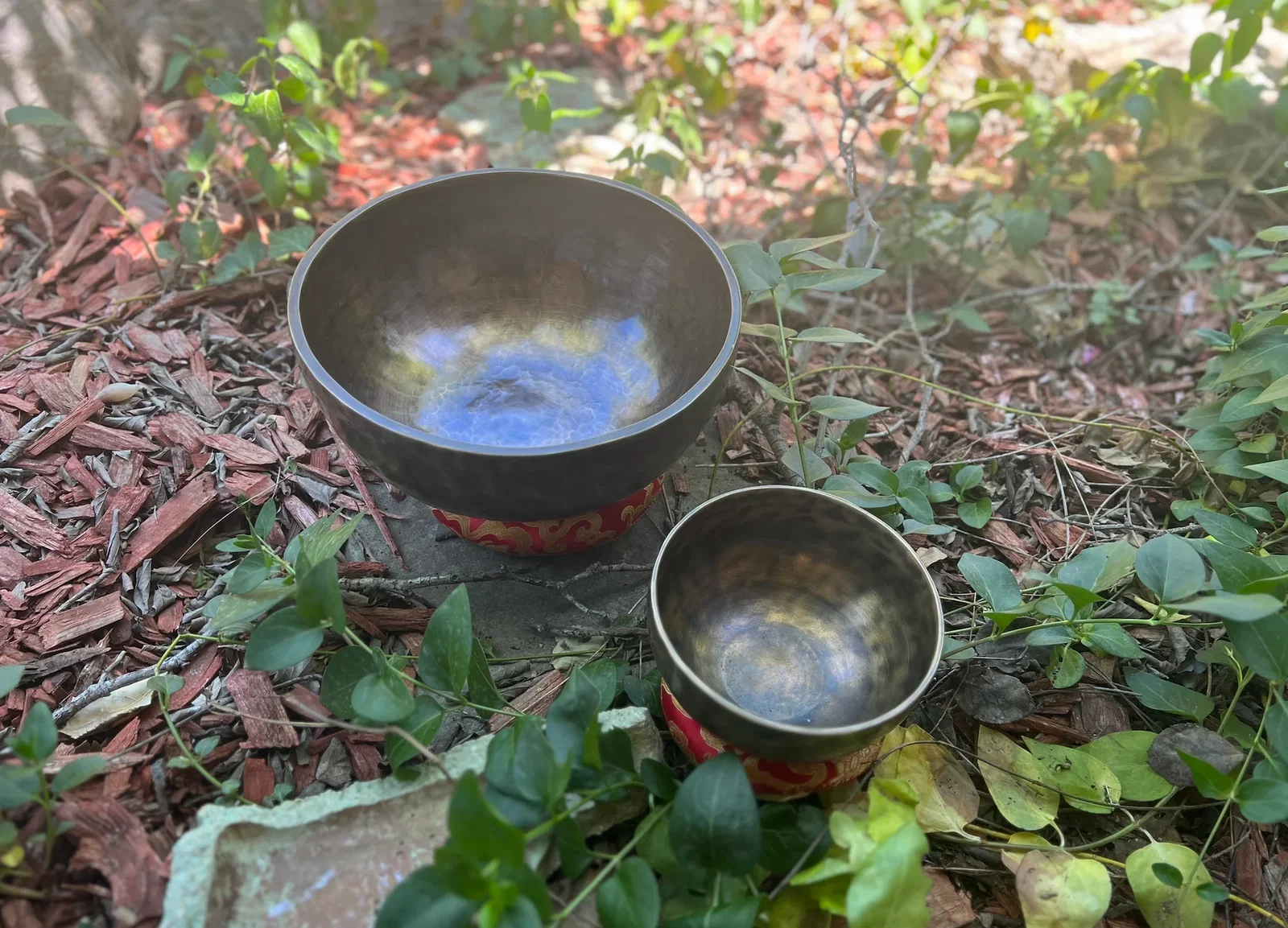 The Earth Bundle with the Saturn Bowl and Tiger Bowl displayed together.