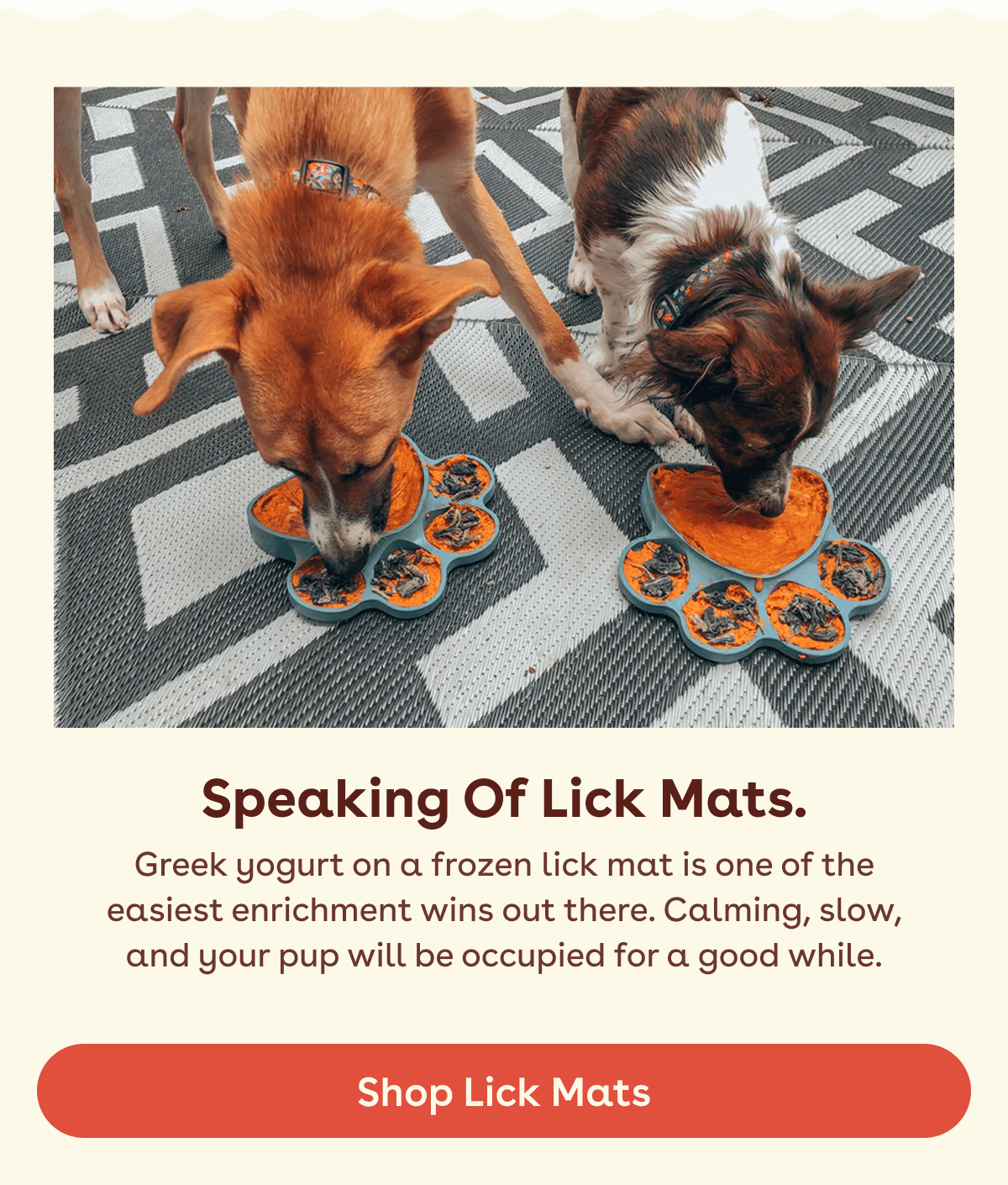 Shop lick mats 