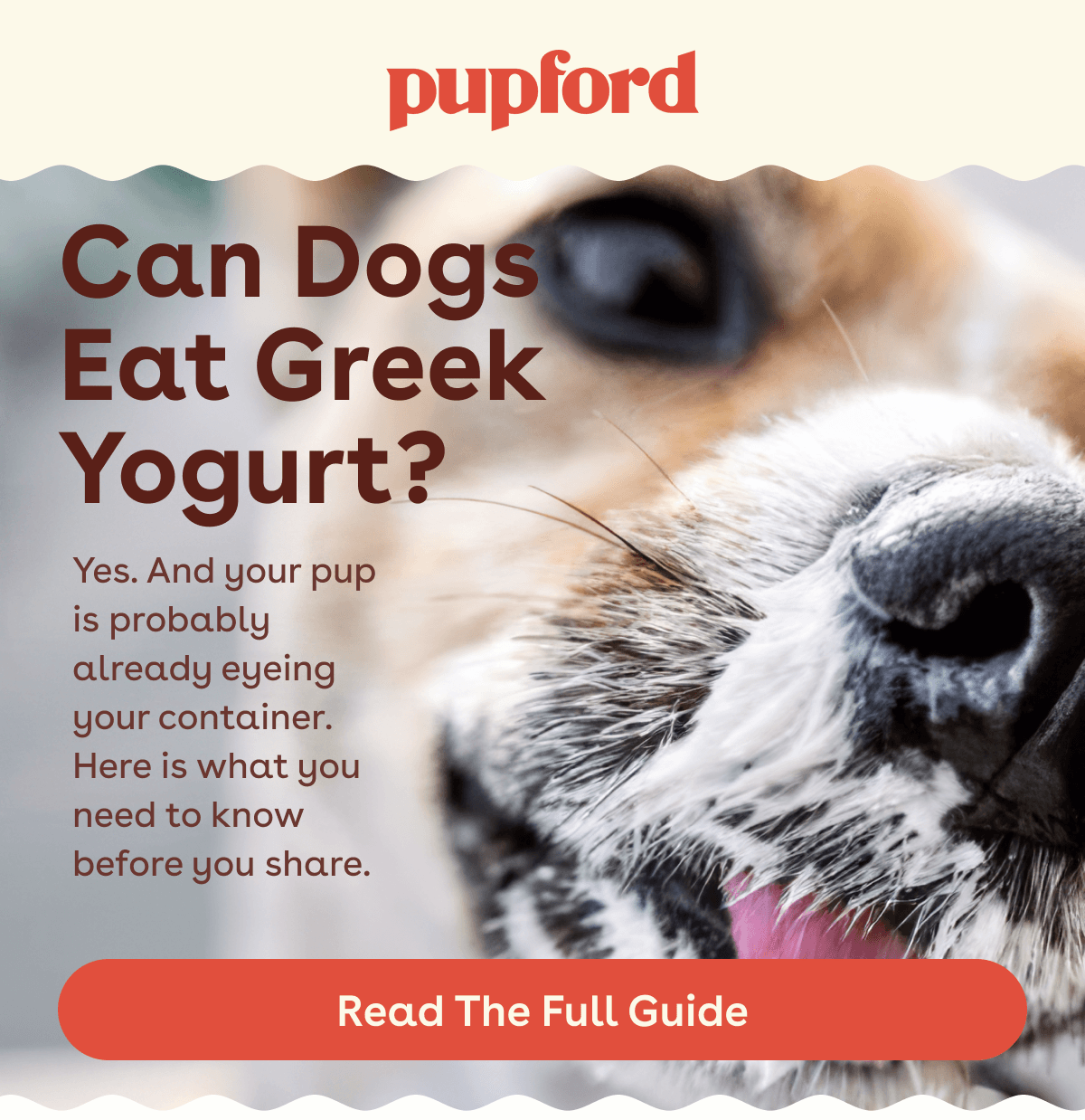 Read the full guide 