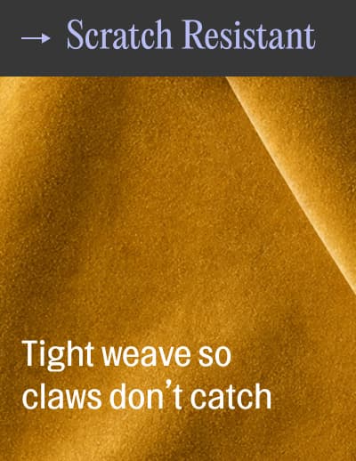 Scratch Resistant