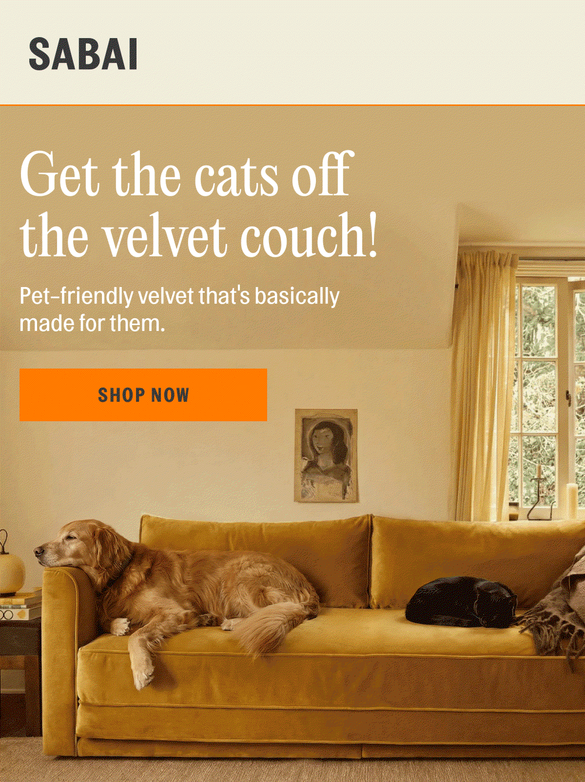 Get the cats the velvet couch!