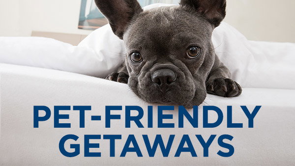 BRING THE PETS ALONG