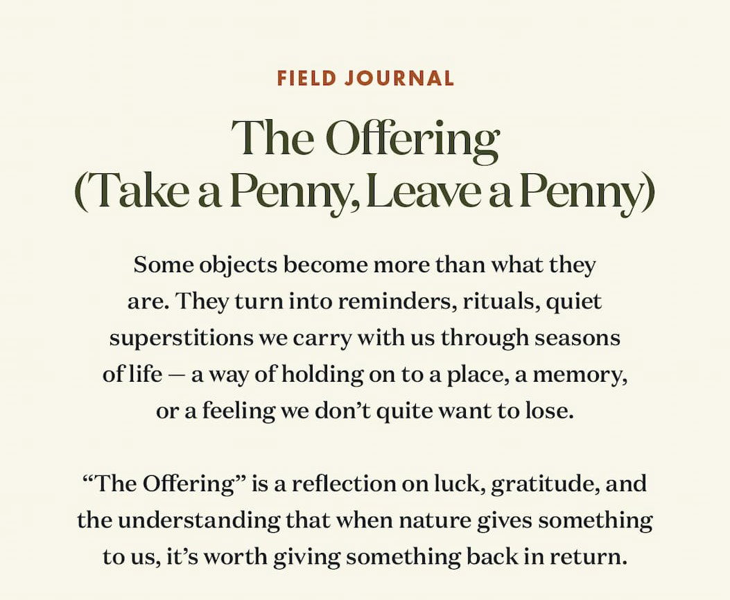 Field Journal: The Offering