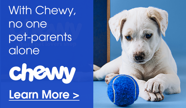 chewy
