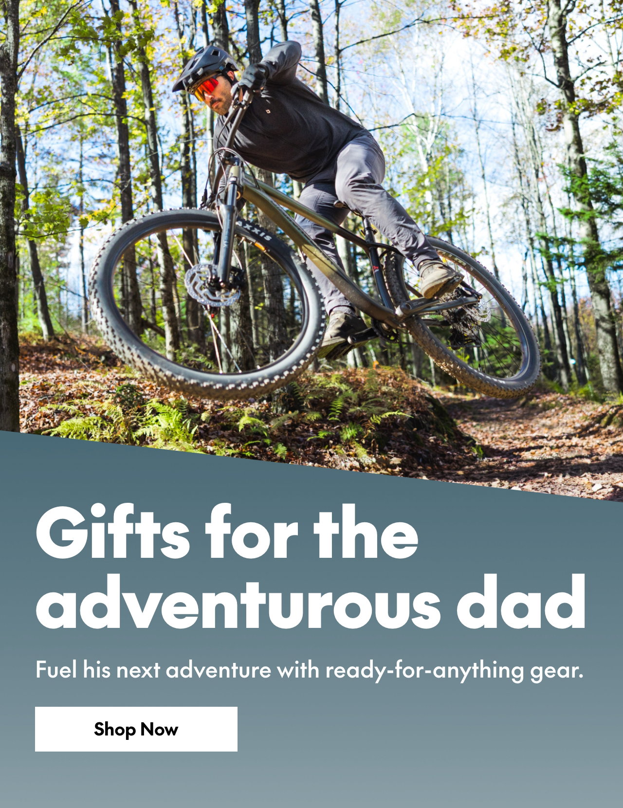 WK22: ADVENTURE DAD 