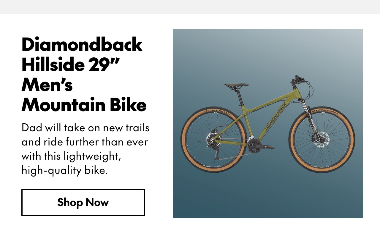 WK22: ADVENTURE DAD DIAMONDBACK