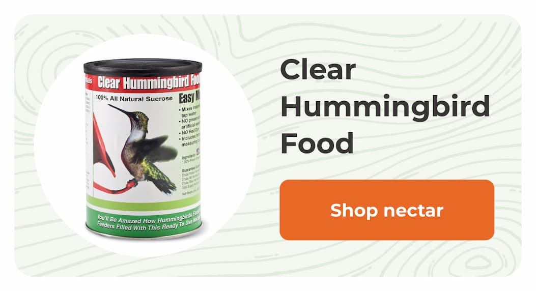 Clear Hummingbird Food
